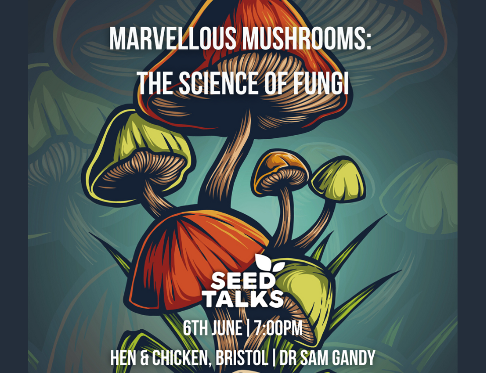 The Fascinating World of Mushrooms: Nature's Fungi Marvels - MUIH
